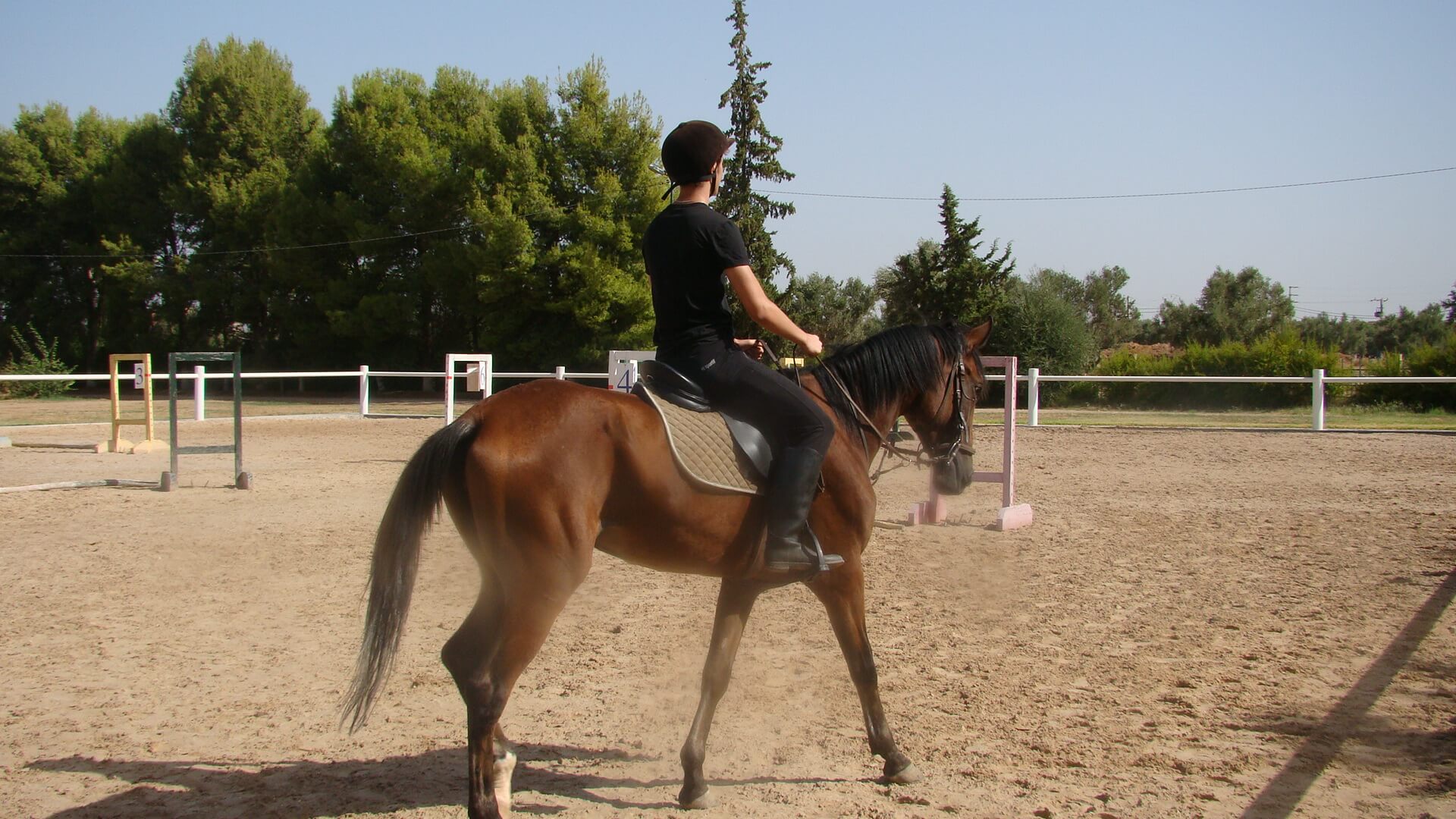Equitation