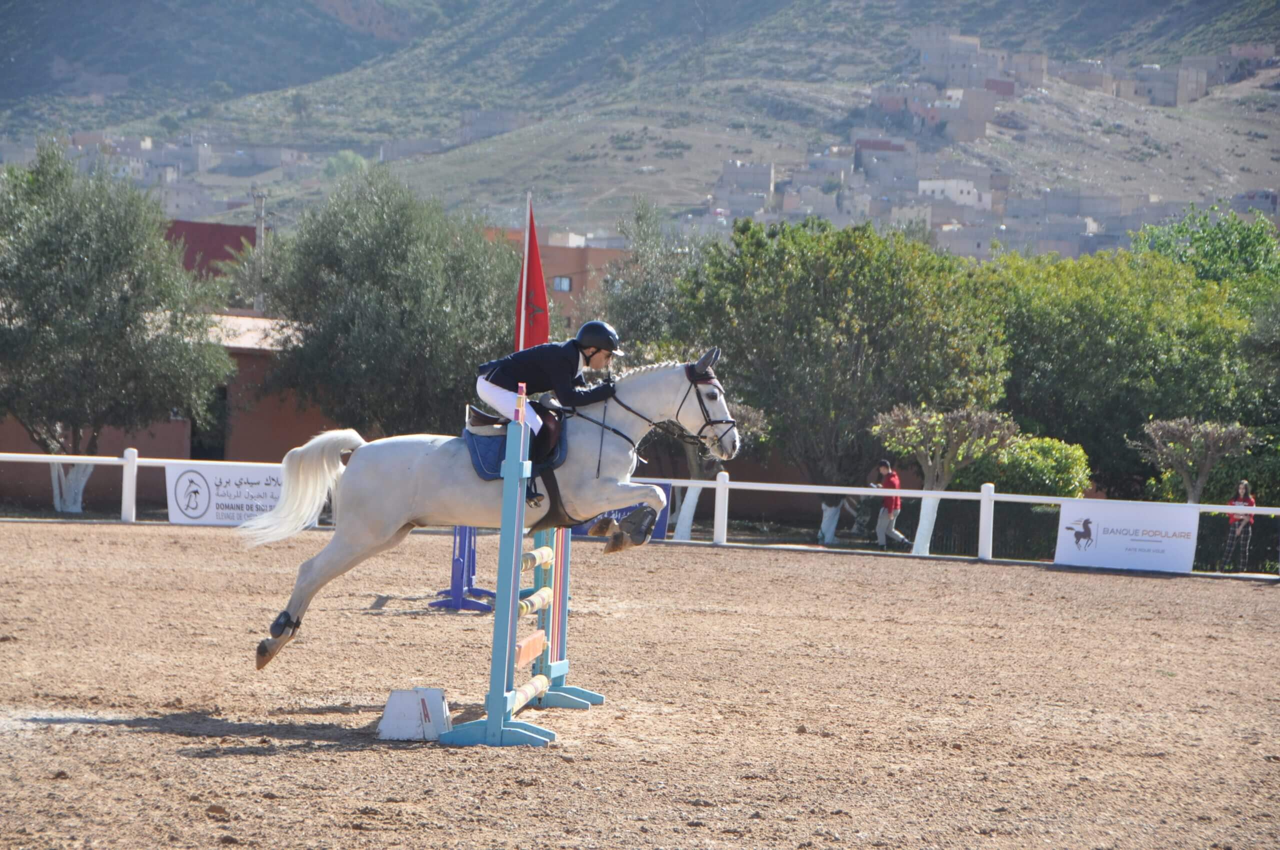Equitation